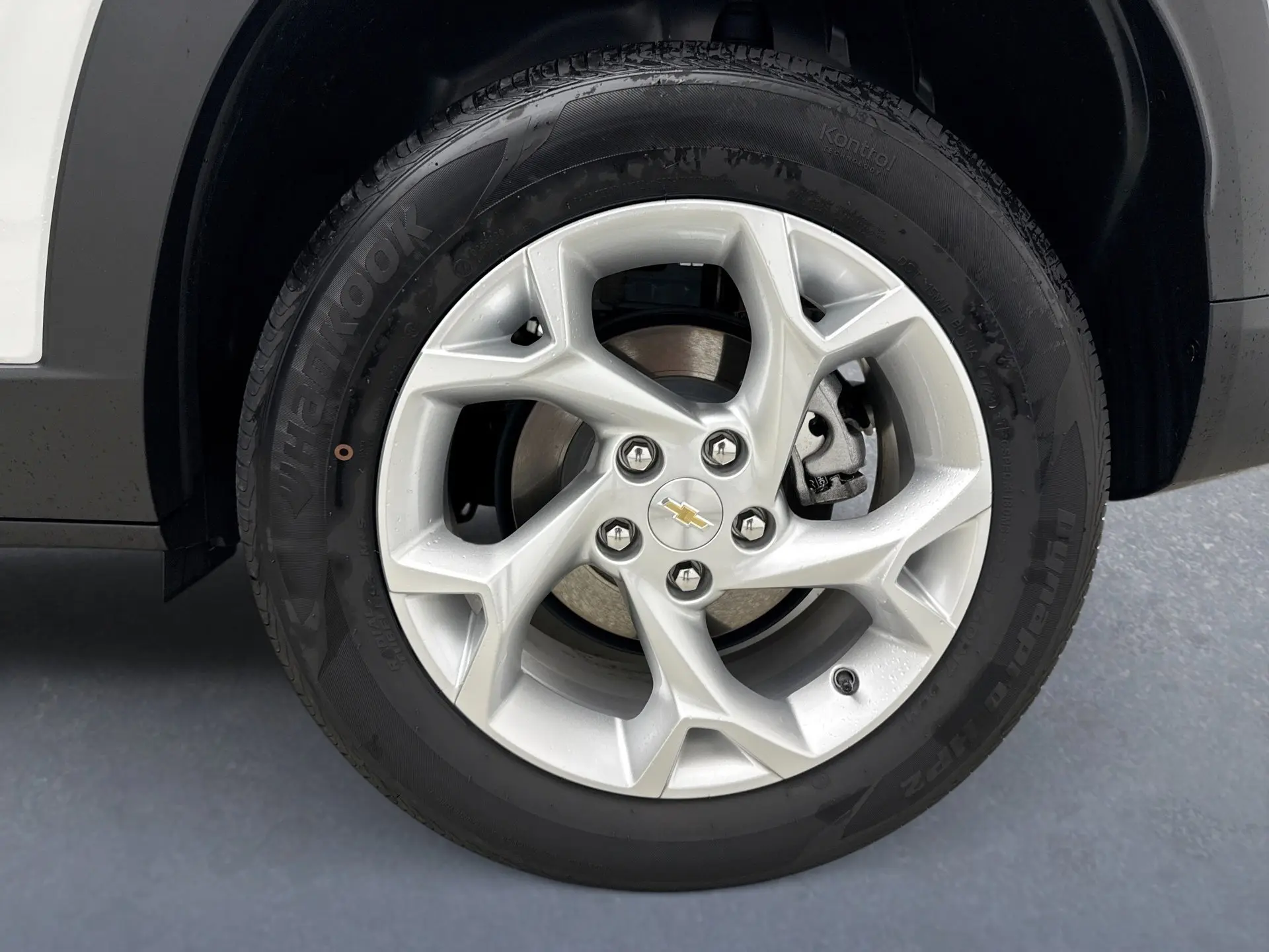 image-19