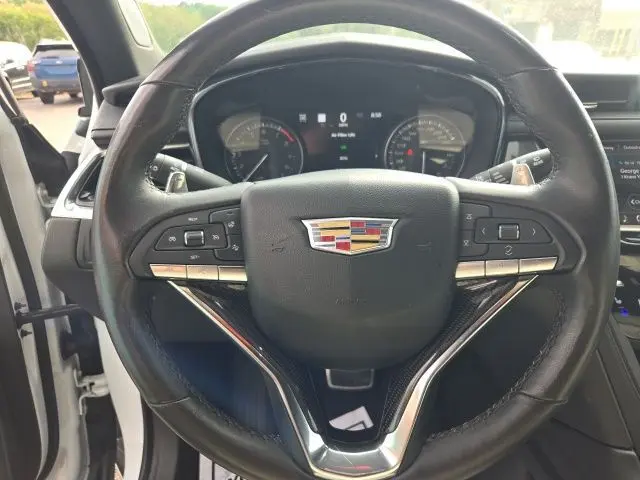 image-19