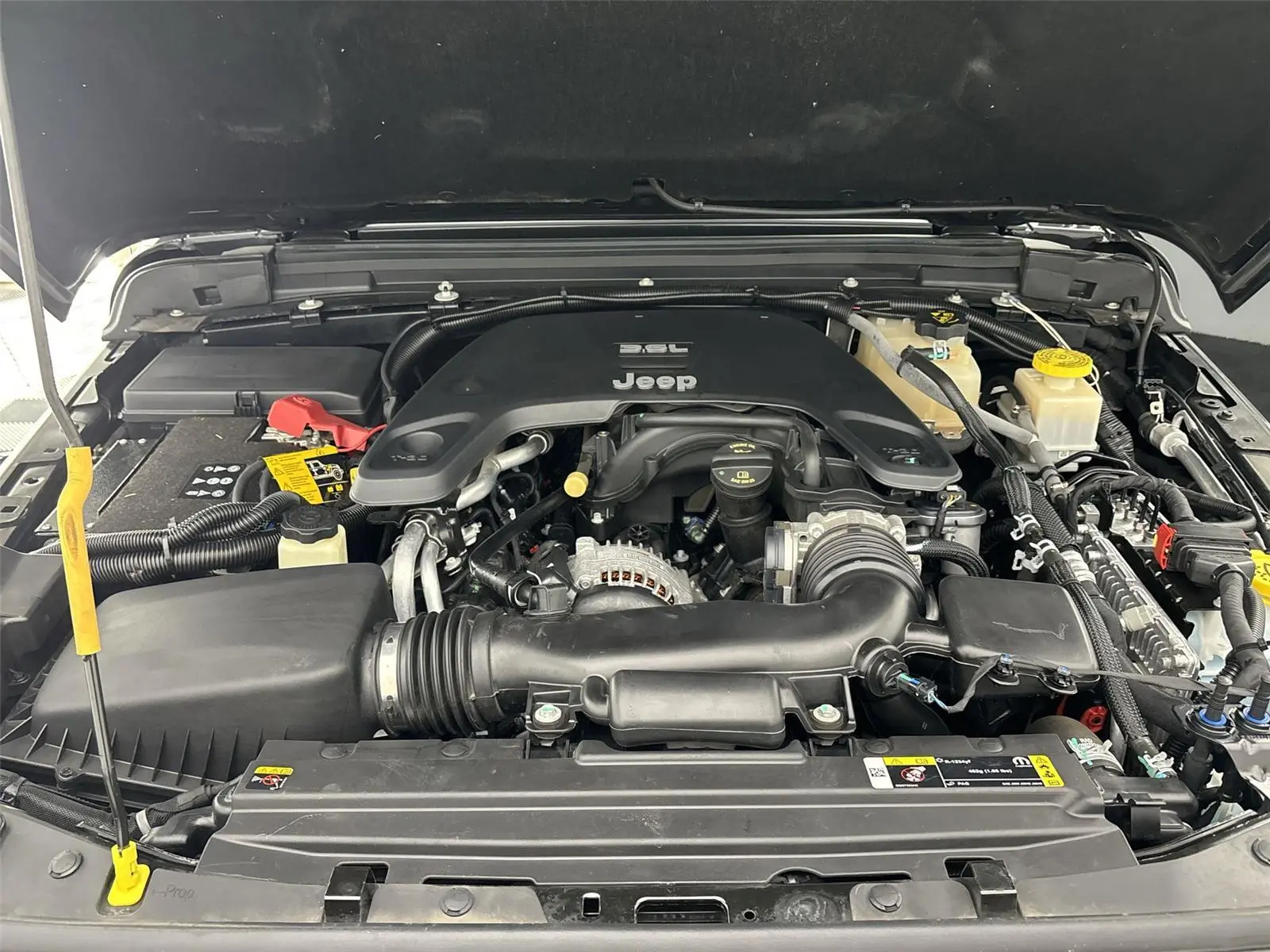 image-7