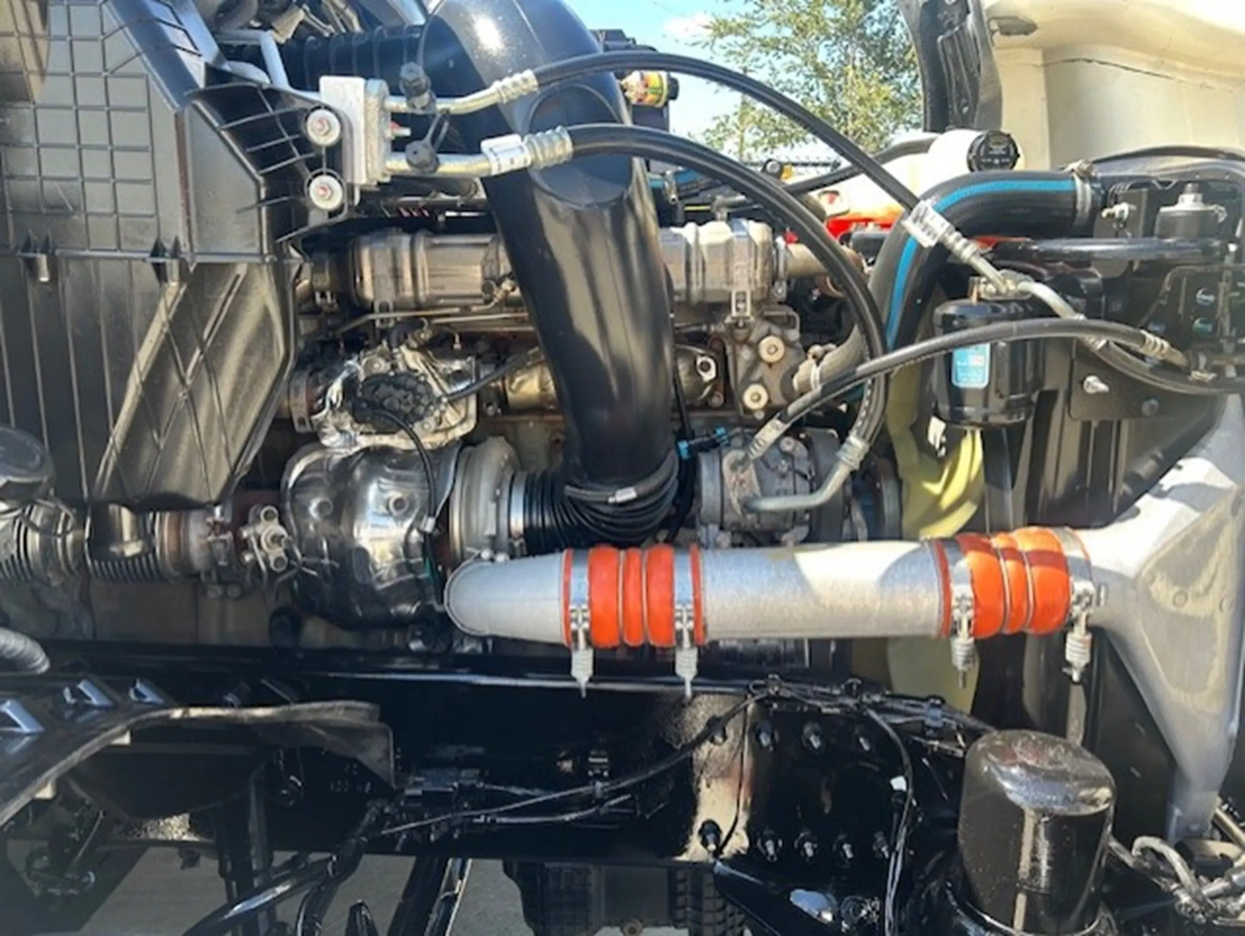 image-12