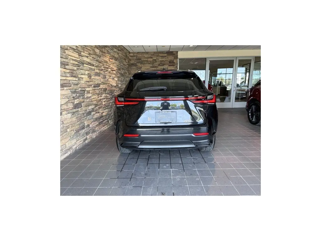 image-10