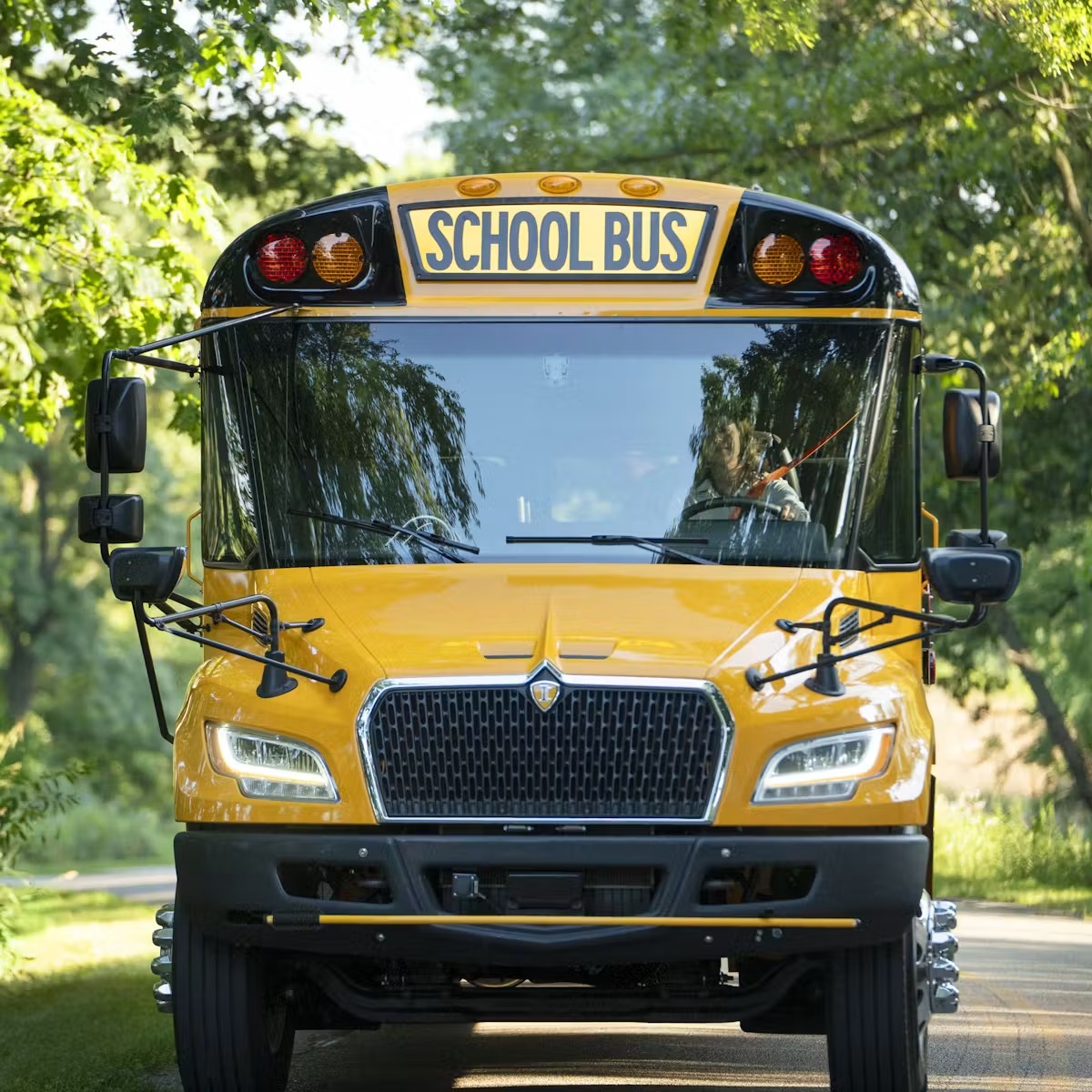 BUSES