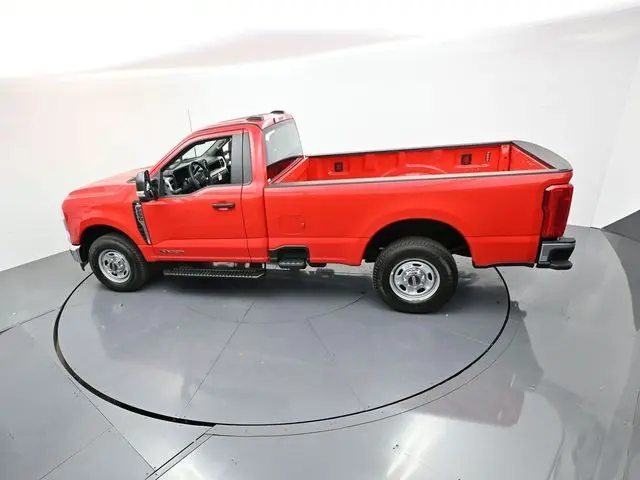 image-19