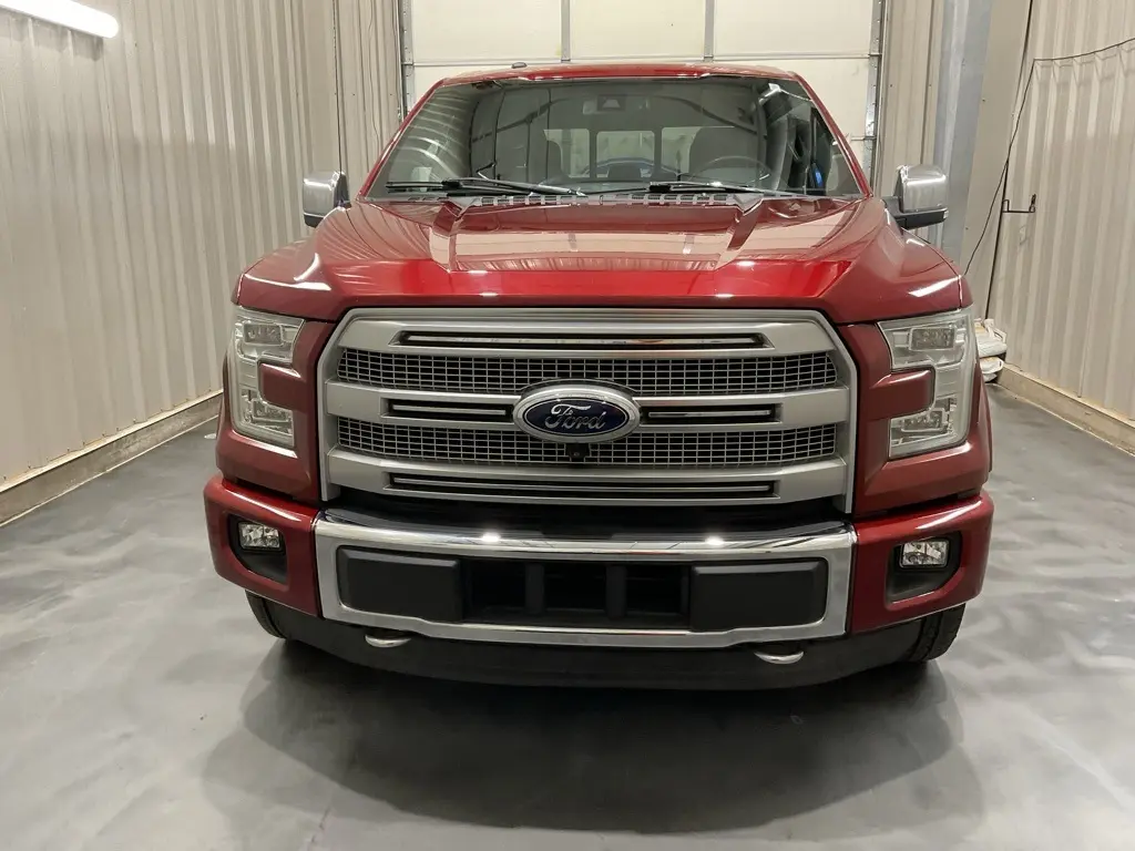 2015 Ford F-150 Platinum photo 2