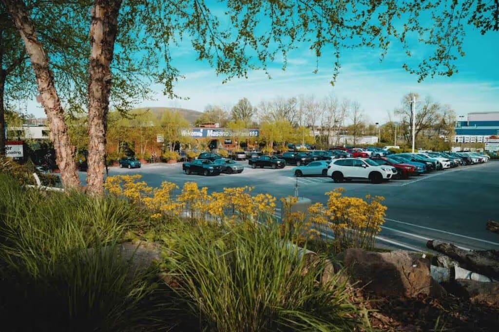 buy cars for sale online Masano Auto Park