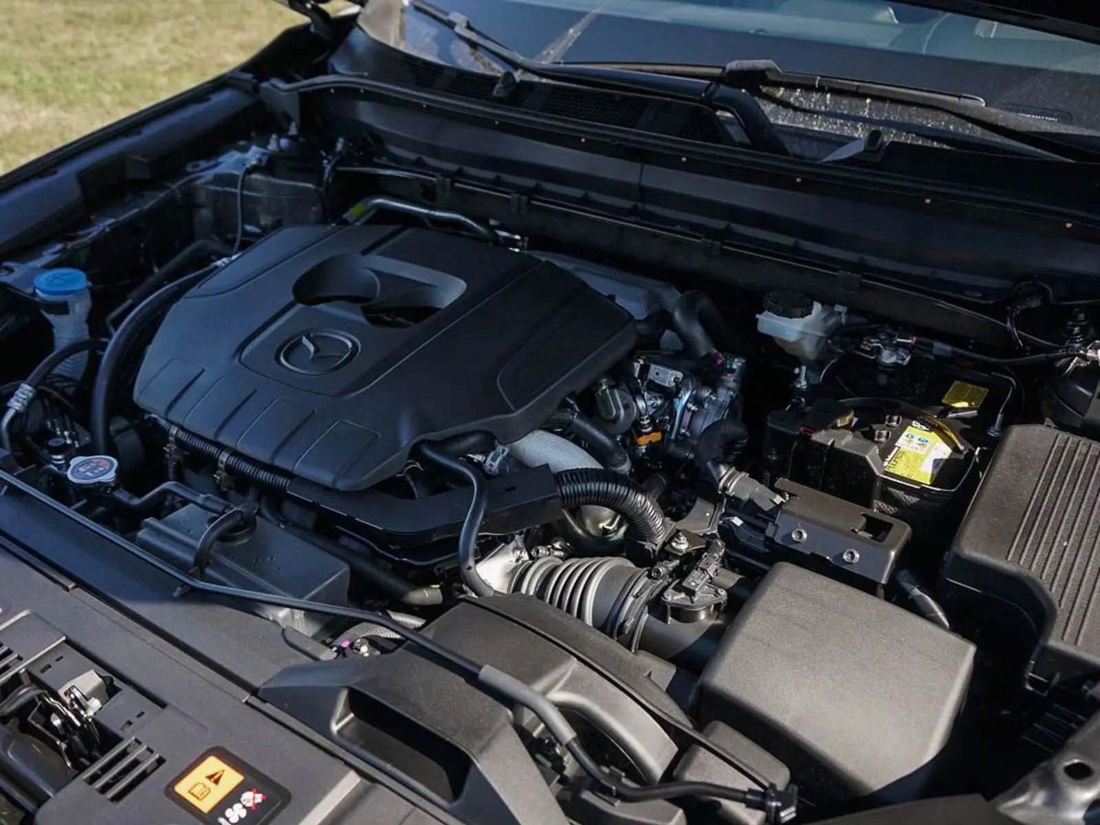 image-5
