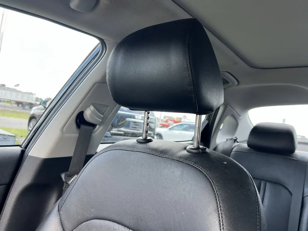 image-19