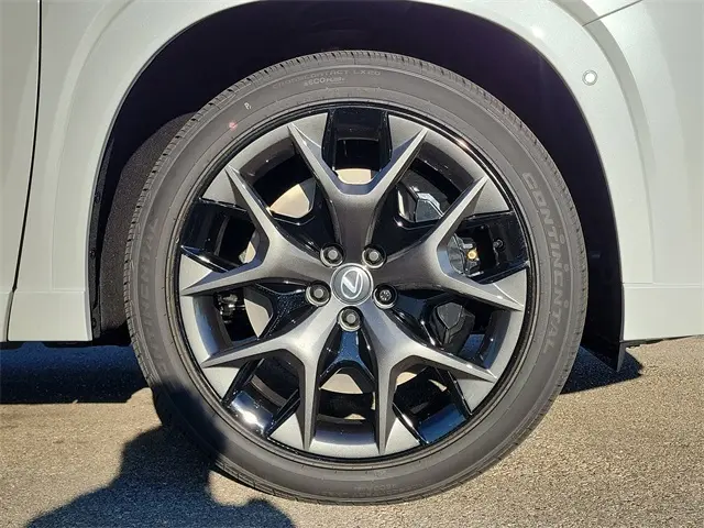 image-4