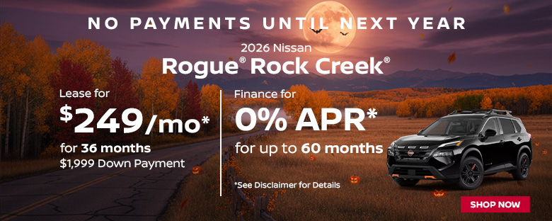 Rogue Rock Creek