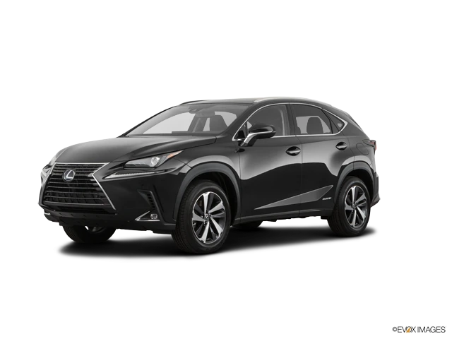 2020 Lexus NX 350h 300h AWD's photo