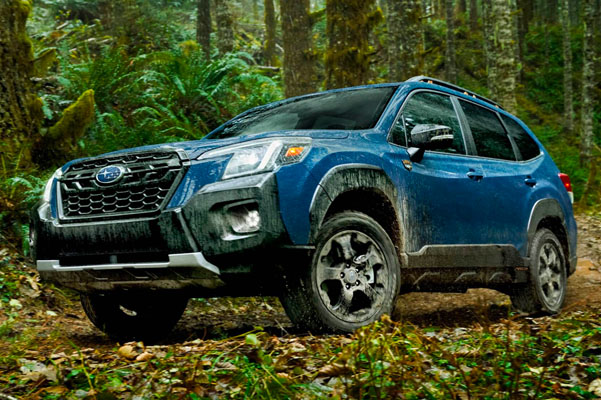2022 Forester in the woods