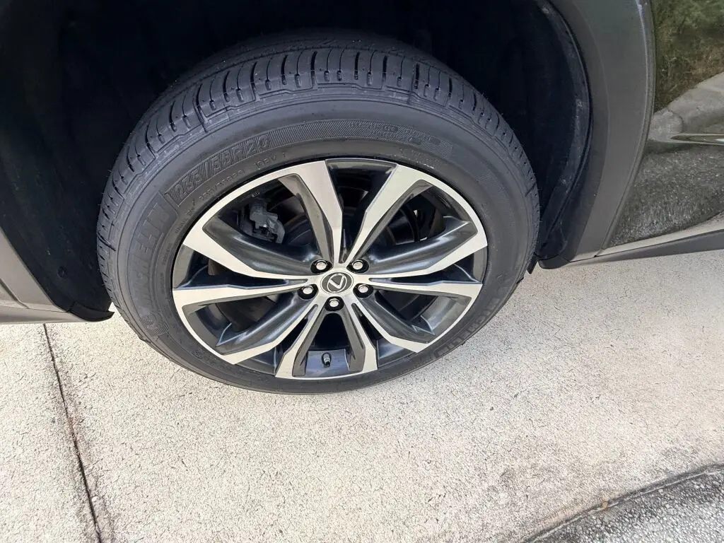 image-11