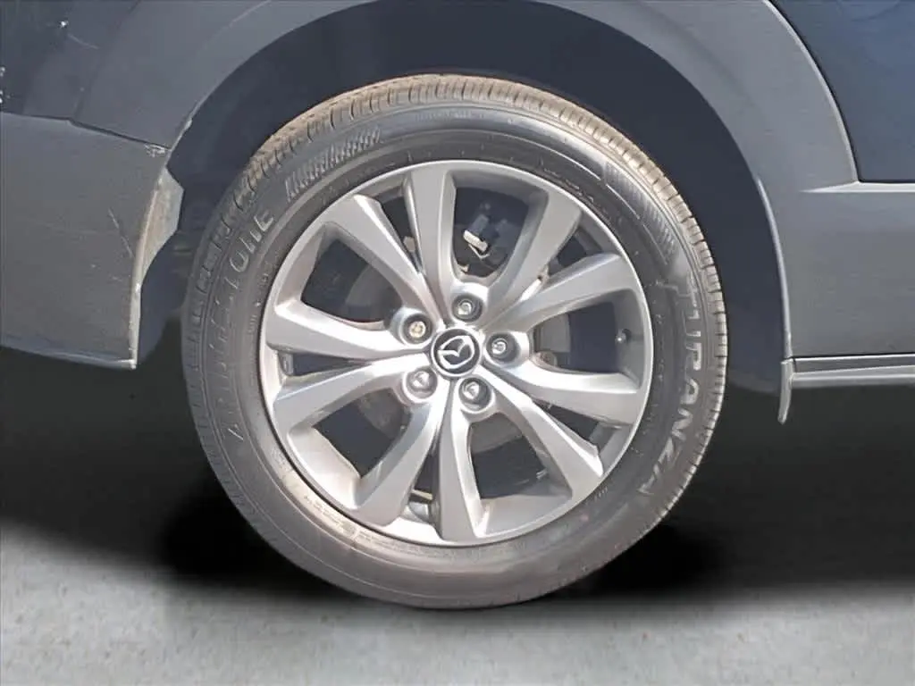 image-7