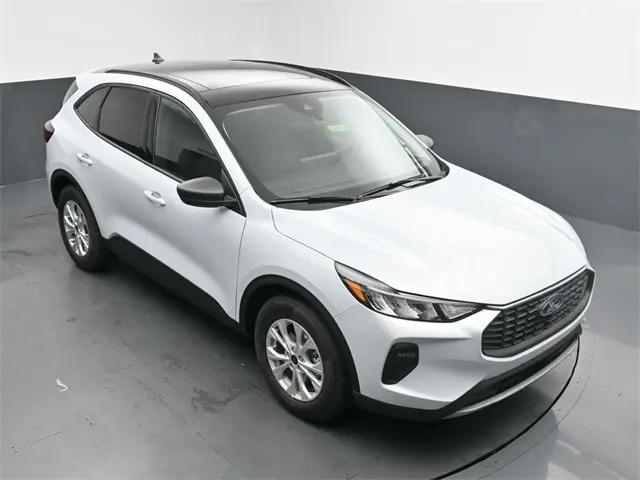 image-19