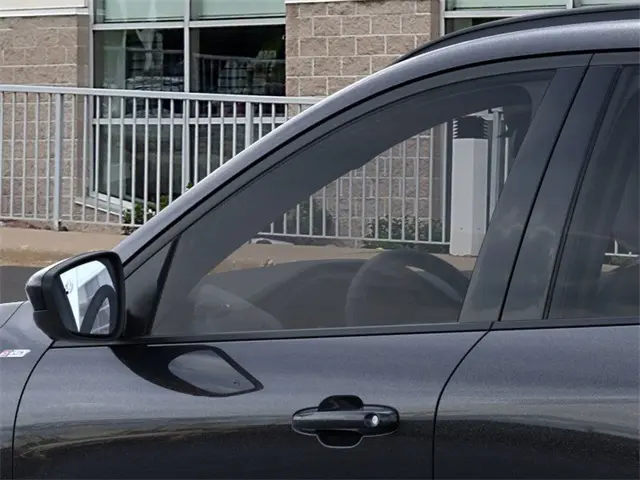 image-19