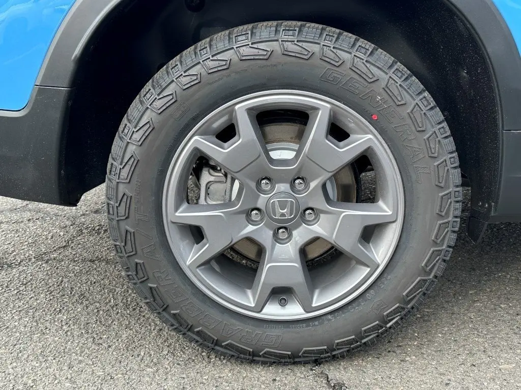 image-7