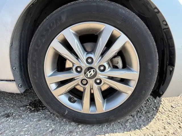 image-7