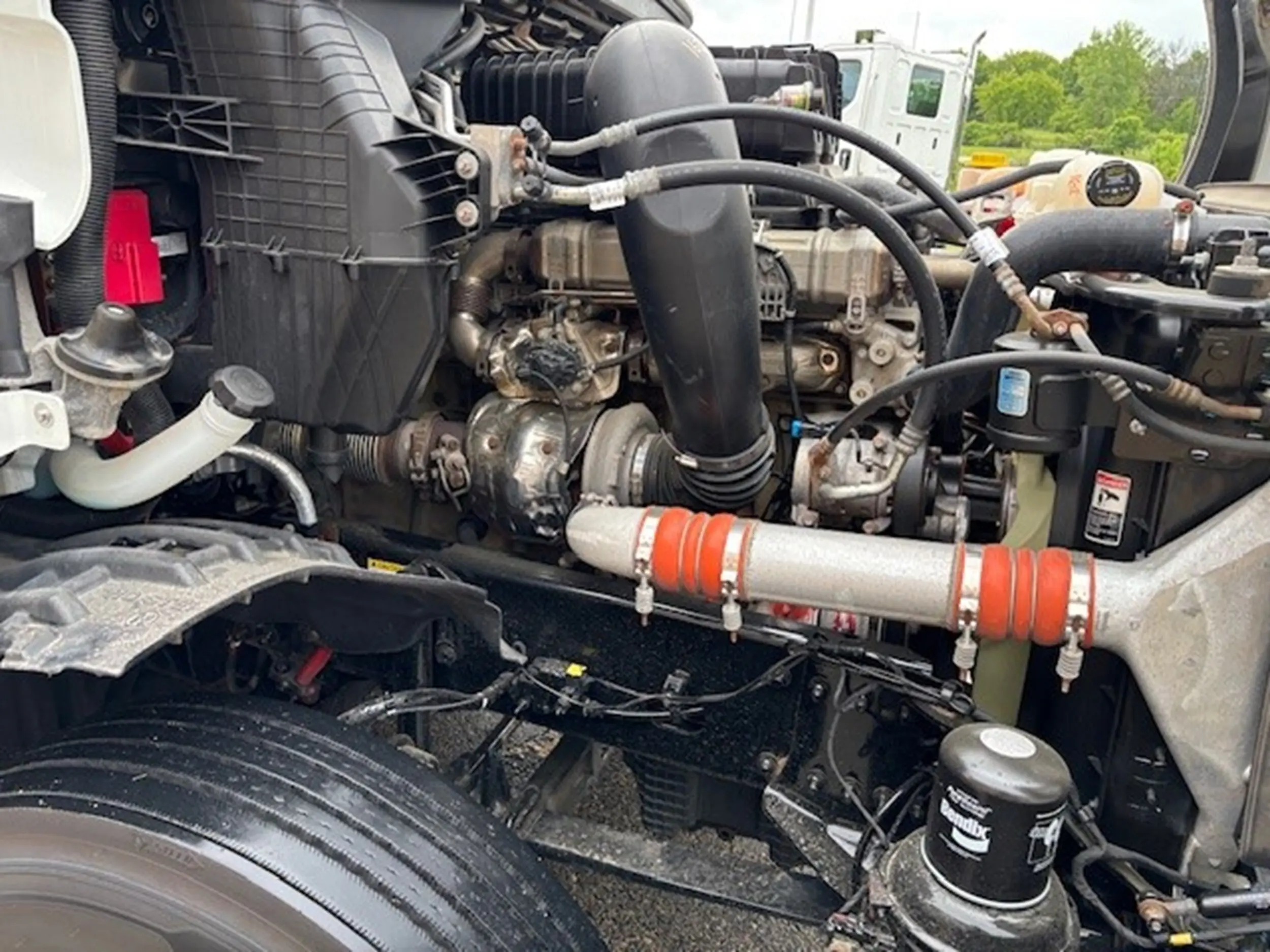 image-19
