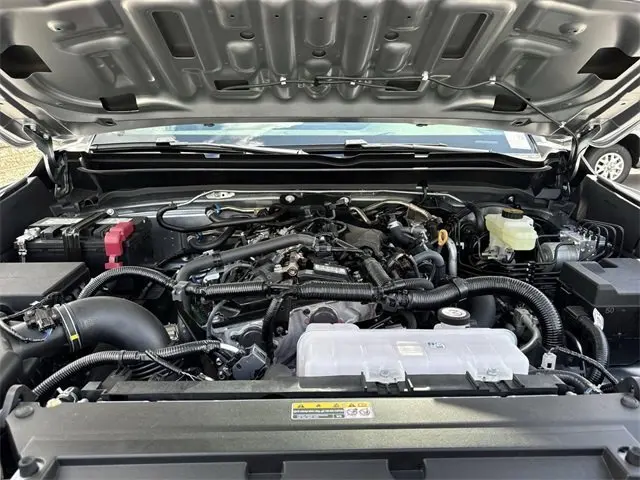image-19