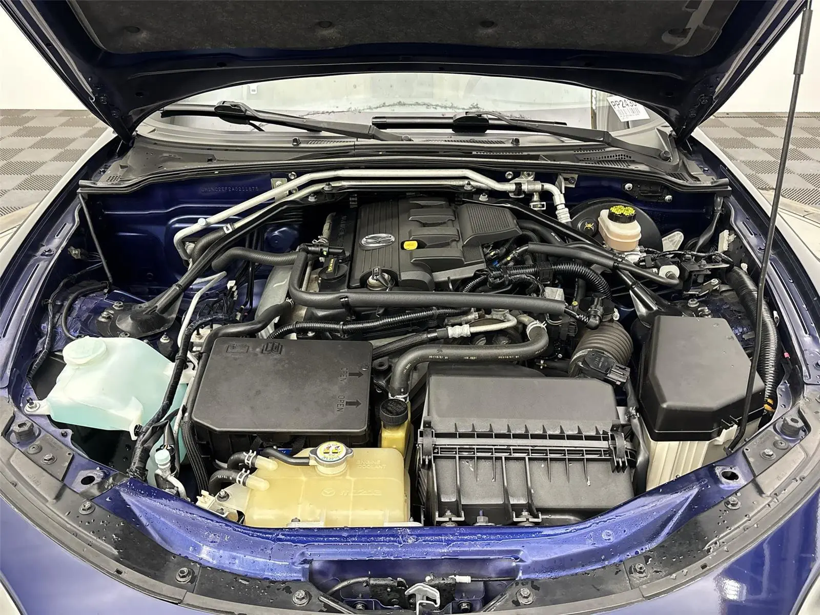 image-19