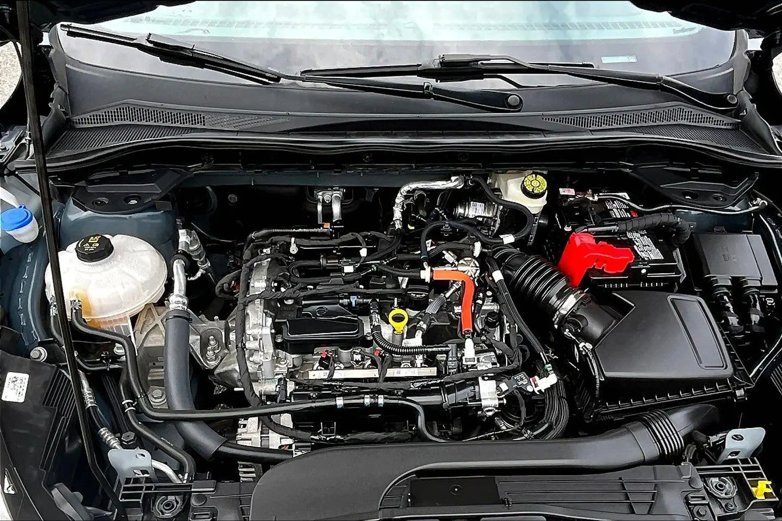 image-9
