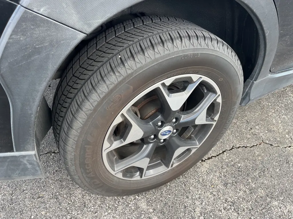 image-8