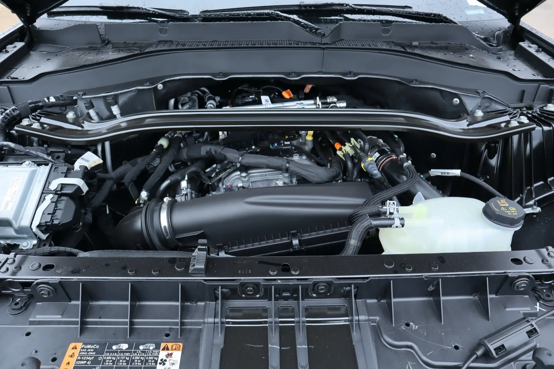 image-19