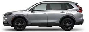 Sport-L Hybrid
