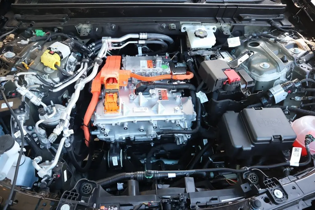 image-19