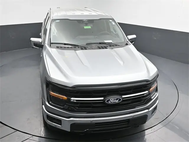 image-19