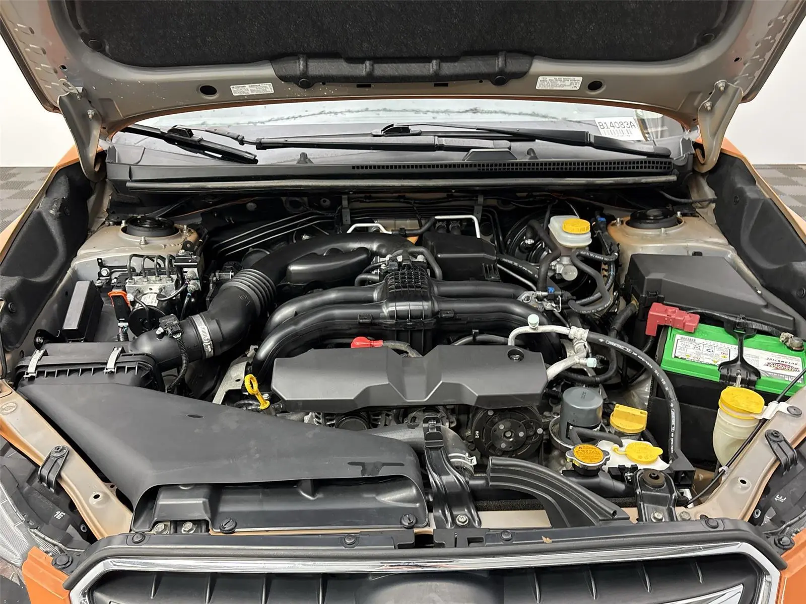 image-19
