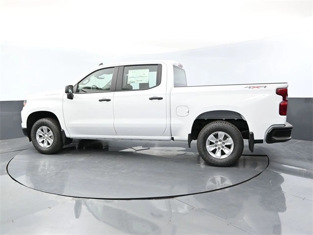 image-2