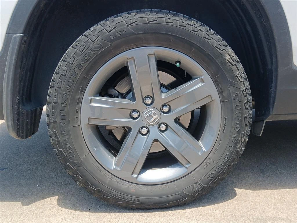 image-7