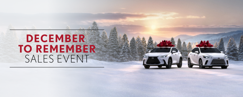 LEXUS DECEMBER TO REMEMBER
