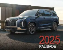 2025 Palisade