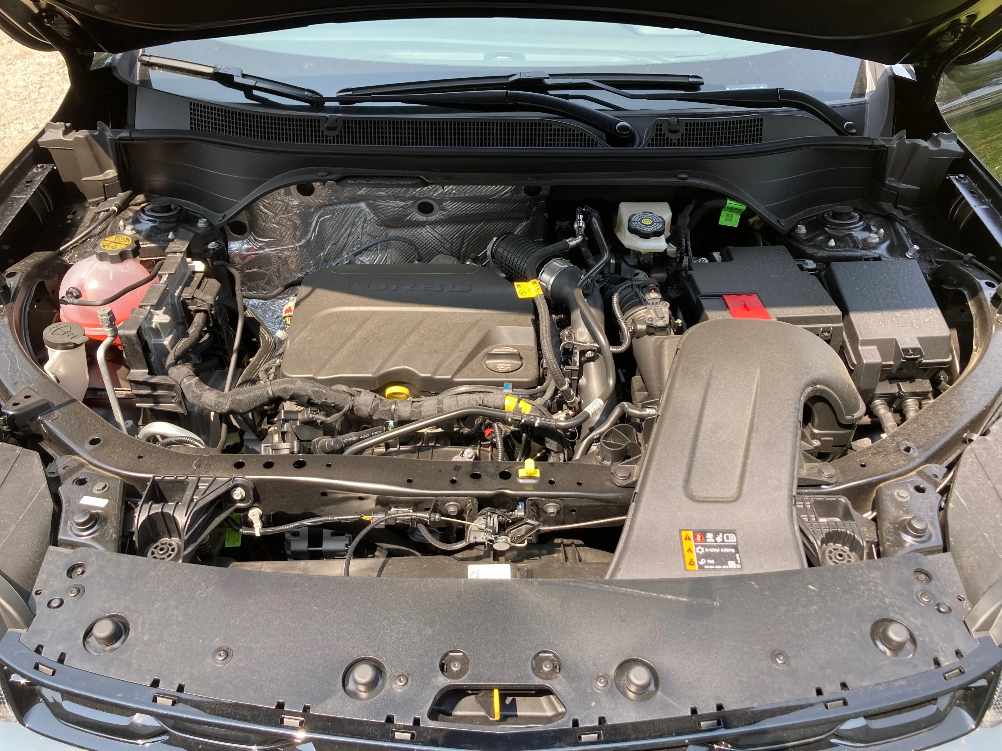 image-10