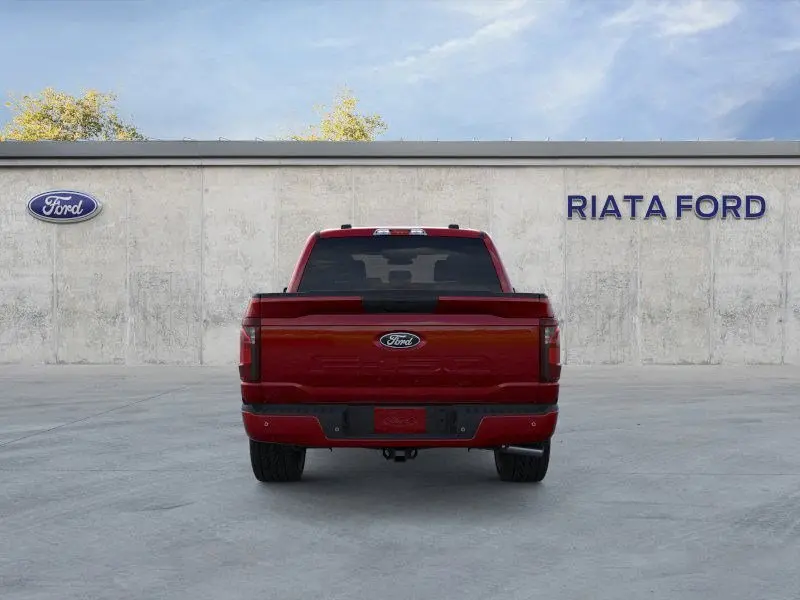 image-4