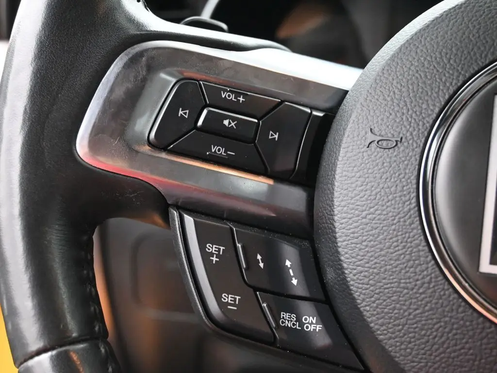 2019 Ford Mustang GT Premium photo 15
