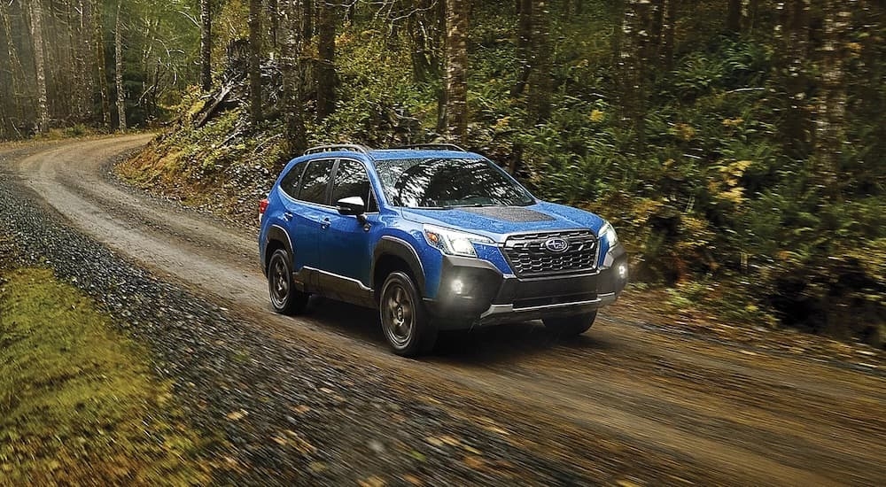 A blue 2024 Subaru Forester Wilderness driving on a trail.