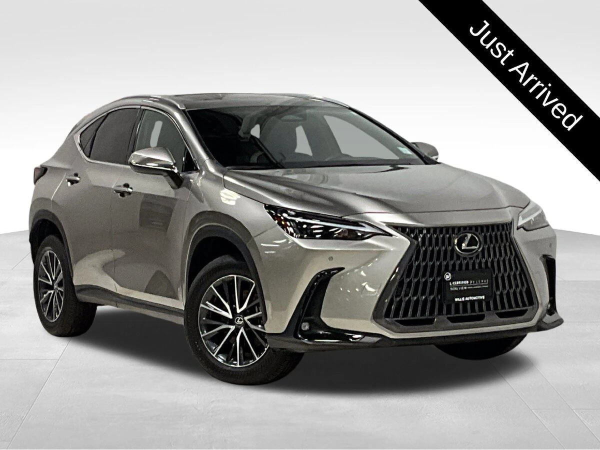 2024 Lexus NX