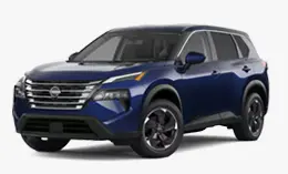 Rogue sv