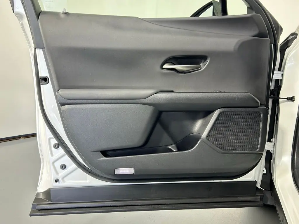 2021 Lexus UX 250h photo 33