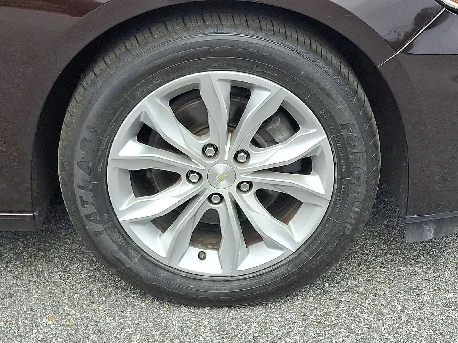 image-7
