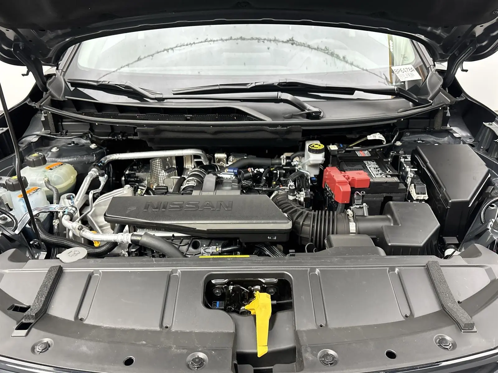 image-19