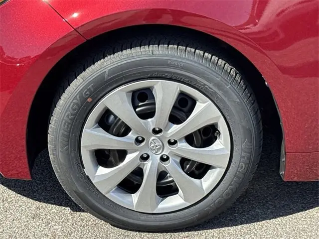image-19