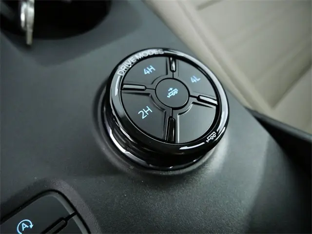 image-19