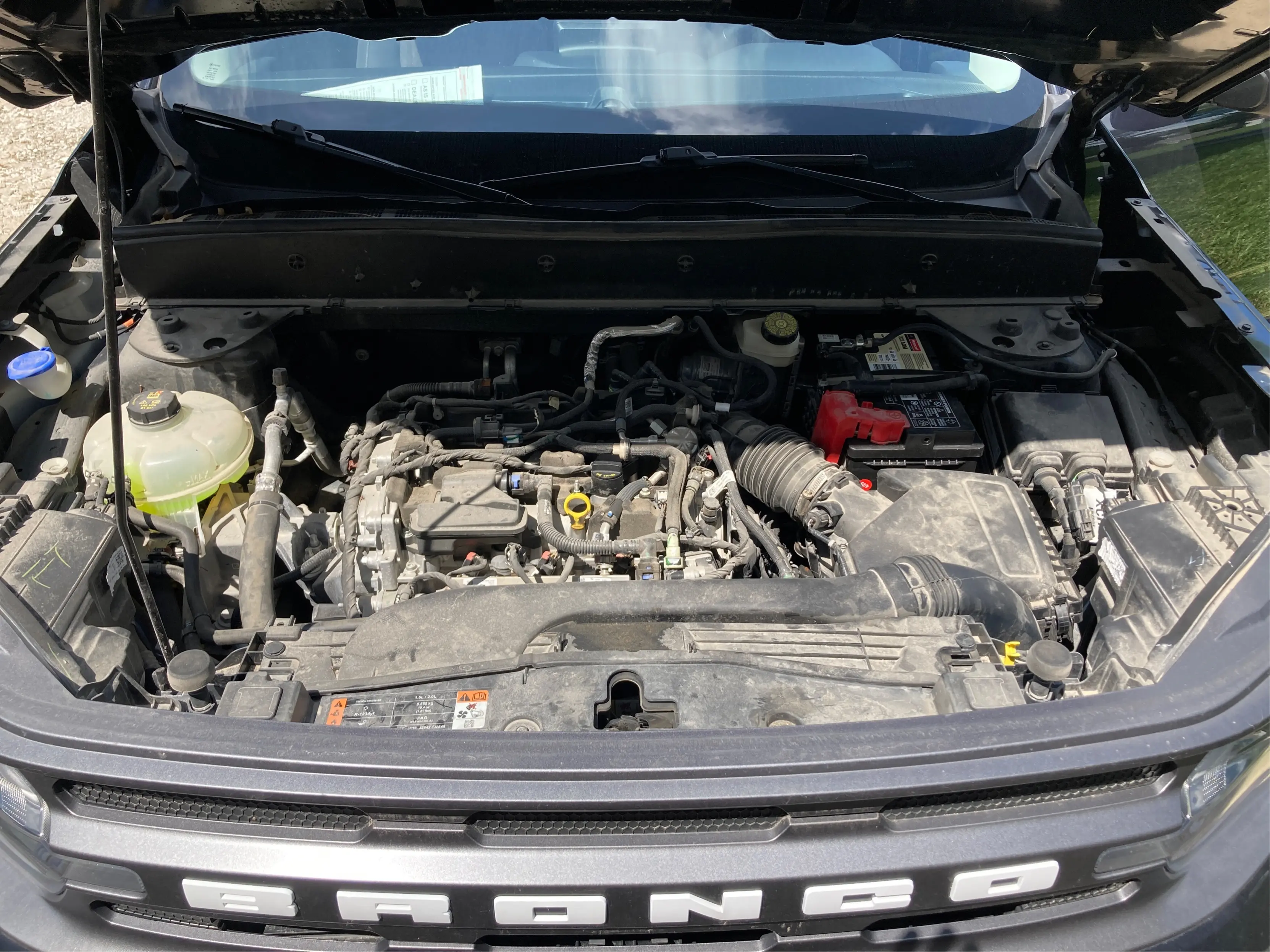 image-10