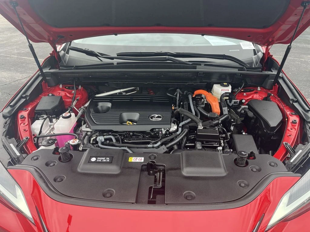 image-13