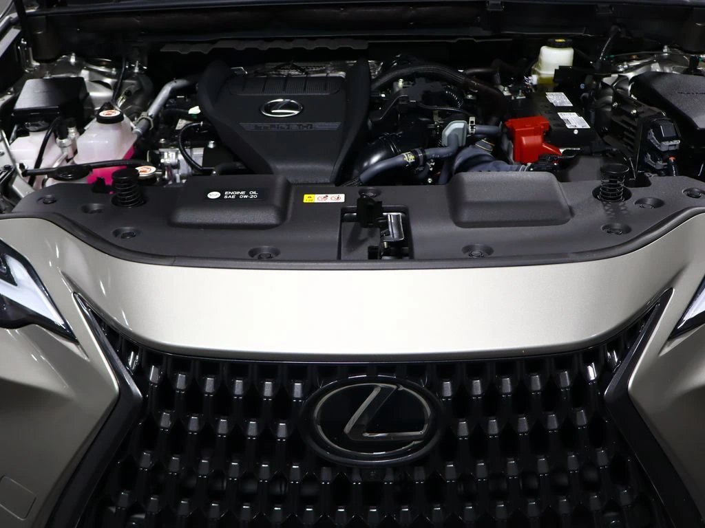2025 Lexus NX 350 - Photo 44