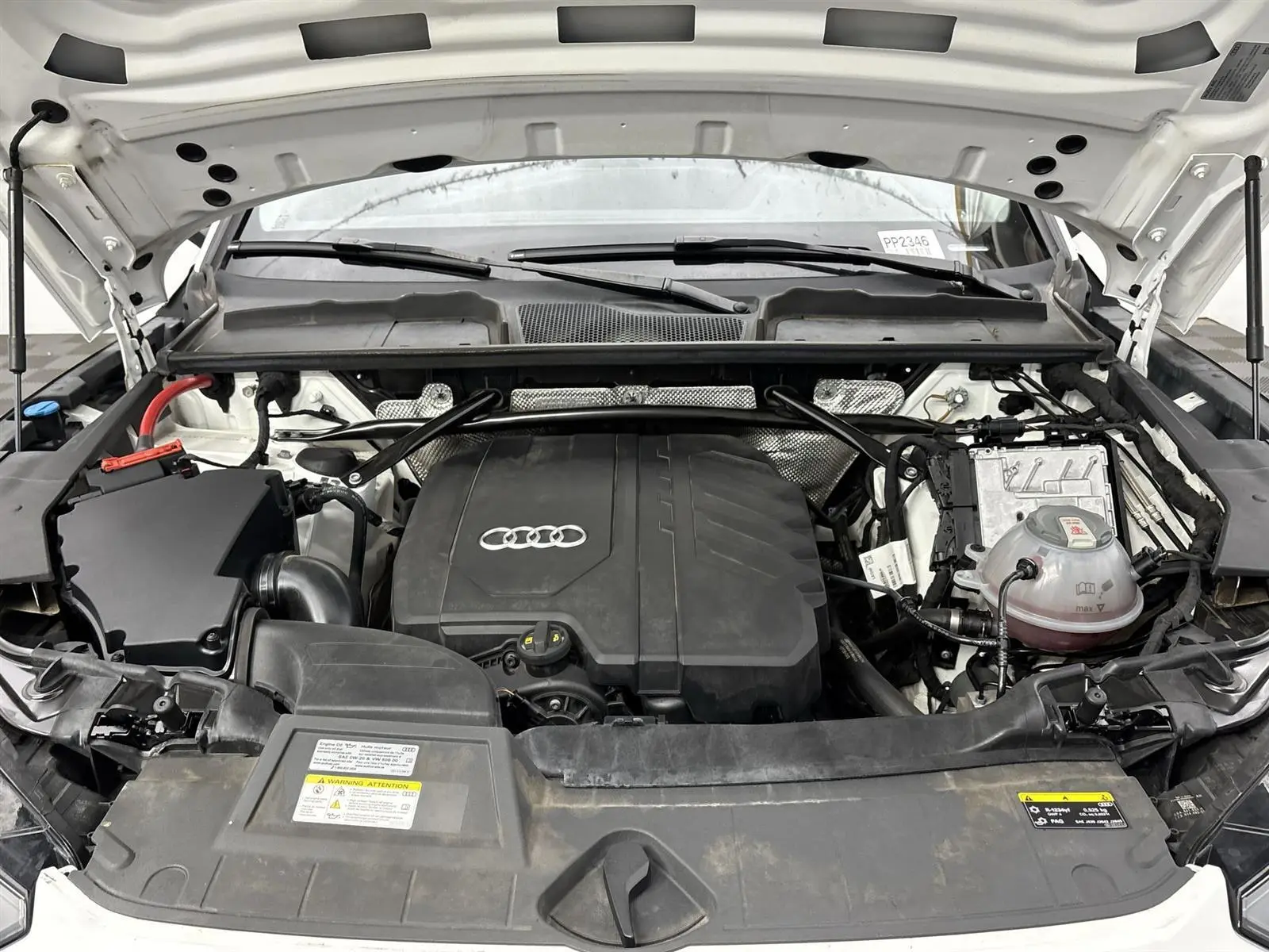 image-19